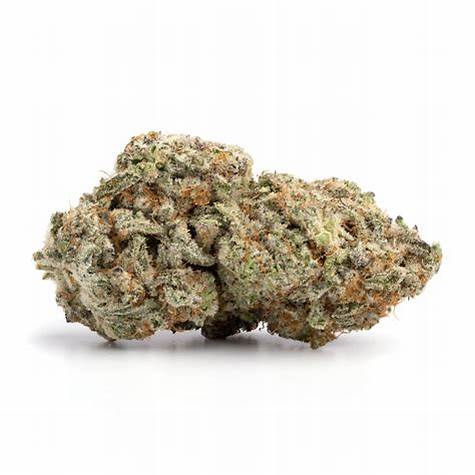 Gelato