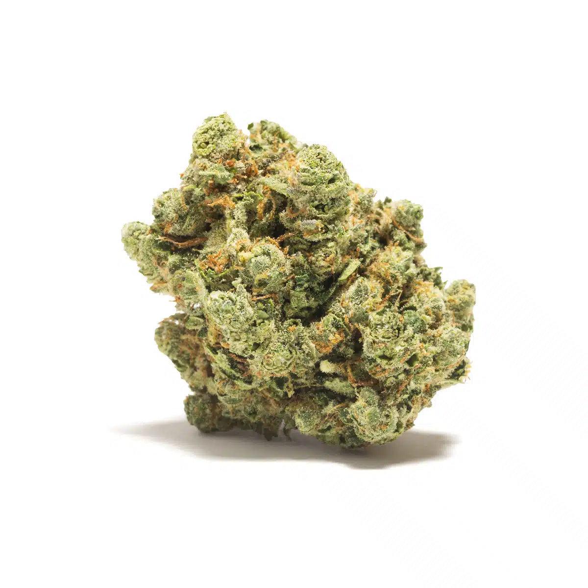 Tropica