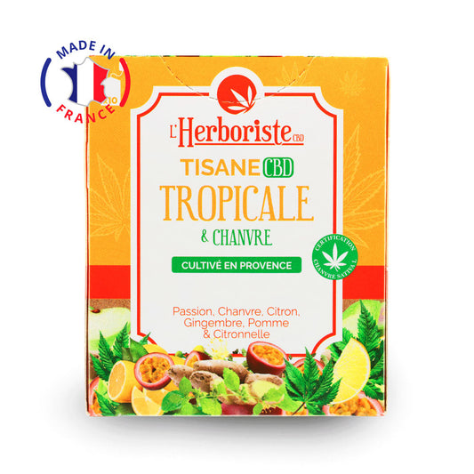 Tisane CBD Tropicale & Chanvre