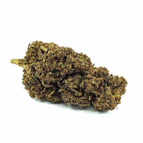 Amnesia frozen