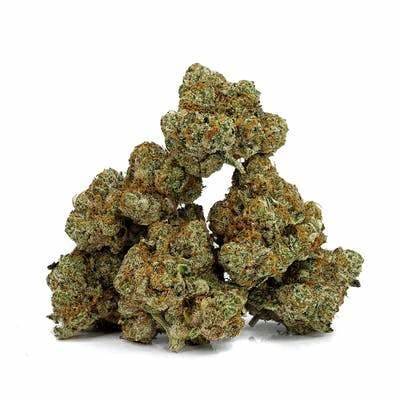 Ice kush moby dick