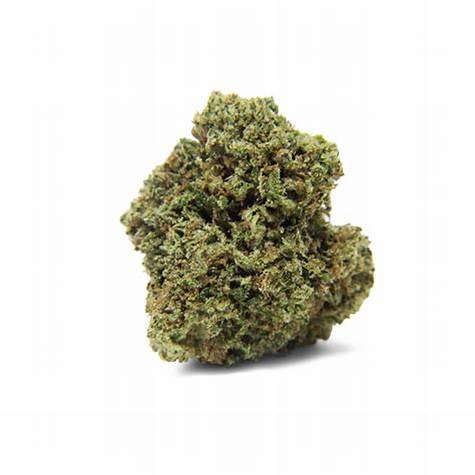 golden haze HE
