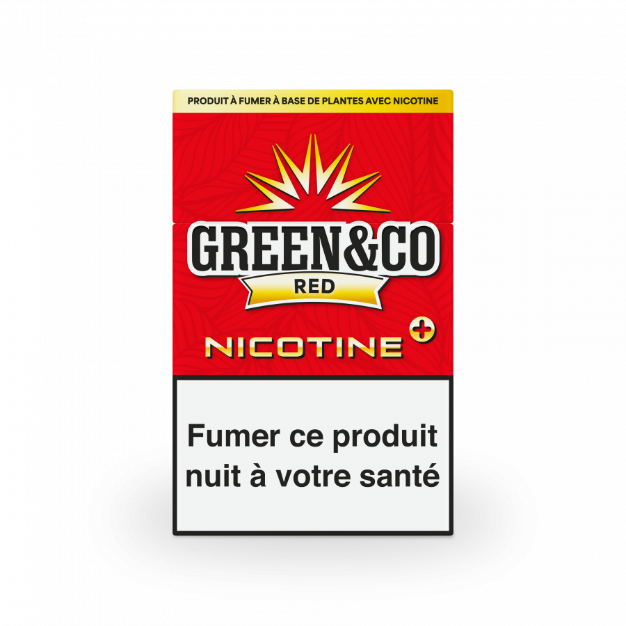 CIGARETTES GREEN&CO            AVEC NICOTINE