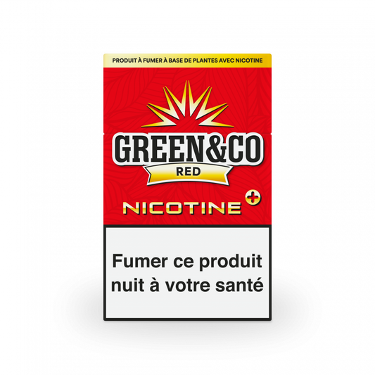 CIGARETTES GREEN&CO            AVEC NICOTINE