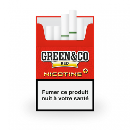 CIGARETTES GREEN&CO            AVEC NICOTINE
